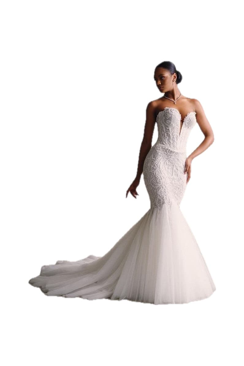 Sculpted Lace Tulle Mermaid Gown